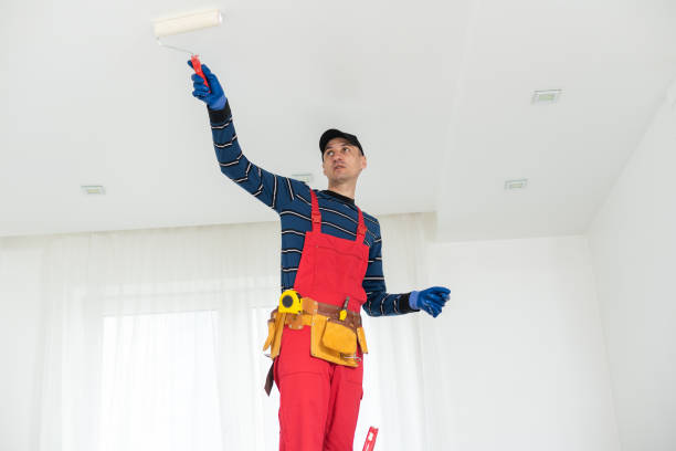  Boonville, MO Dry wall and painting Pros